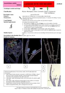 Plant morphology / Plant sexuality / Pollination / Reproductive system / Stamen / Plant / Sporangium / Biology / Botany / Plant anatomy