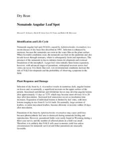 Dry Bean Nematode Angular Leaf Spot Howard F. Schwartz, David H. Gent, Gary D. Franc and Robert M. Harveson Identification and Life Cycle Nematode angular leaf spot (NALS), caused by Aphelenchoides ritzemabosi, is a