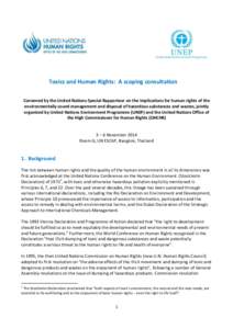 Toxics and Human Rights: A scoping consultation Convened by the United Nations Special Rapporteur on the implications for human rights of the environmentally sound management and disposal of hazardous substances and wast