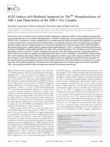 SCO2 Induces p53-Mediated Apoptosis by Thr845 Phosphorylation of ASK-1 and Dissociation of the ASK-1–Trx Complex Esha Madan,a,b Rajan Gogna,b Periannan Kuppusamy,c Madan Bhatt,d Abbas Ali Mahdi,a Uttam Patib Department