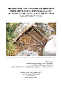 THIRD REPORT ON TRAPPING OF THRUSHES WITH STONE CRUSH TRAPS (TENDELLES) IN CAUSSES NOIR, MEJEAN AND SAUVETERRE (La Lozère and Aveyron)  The new type of tendelle: note the irregularities in the stone slab, ground and pos