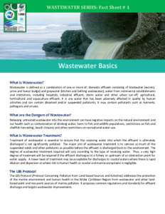WASTEWATER SERIES: Fact Sheet # 1  Wastewater Basics What is Wastewater? Wastewater is defined as a combination of one or more of: domestic effluent consisting of blackwater (excreta, urine and faecal sludge) and greywat