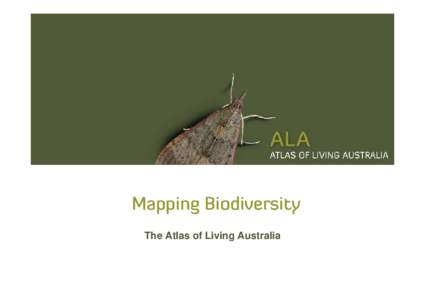 Mapping Biodiversity The Atlas of Living Australia Saw Banksia - Banksia serrata  © ANBG (photographer M. Fagg)