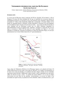 TAPONAMIENTO PROGRESIVO DEL CAUCE DEL RÍO PILCOMAYO Haroldo Juan Hopwood Profesor Adjunto interino , Modelos Hidráulicos, Departamento de Hidráulica, FIUBA.