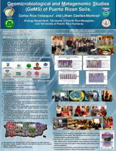 Geomicrobiological and Metagenomic Studies (GeMS) of Puerto Rican Soils. Carlos Ríos-Velázquez1, and Lilliam Casillas-Martínez2 Biology Department, 1University of Puerto Rico-Mayagüez; and 2University of Puerto Rico-