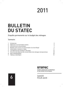 Logo-Statec-Institut-40mm-b-outl