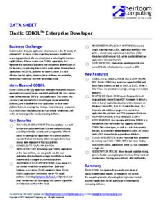 DATA SHEET Elastic COBOLTM Enterprise Developer Business Challenge ☼