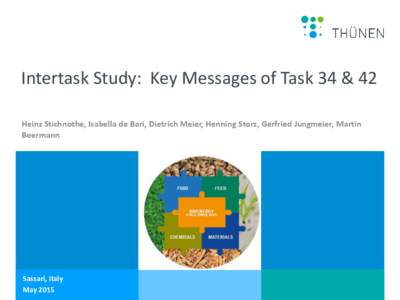 Intertask Study: Key Messages of Task 34 & 42 Heinz Stichnothe, Isabella de Bari, Dietrich Meier, Henning Storz, Gerfried Jungmeier, Martin Beermann Sassari, Seite