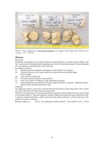 Plate A3 - Typical appearance of fine alluvial sediment in jar samples. Tung Chung, Site 3; Drillcore CA­ 4A; Box 2, 43.4 – 46.95 m Siltstone Description Moderately consolidated to semi-lithified sediment composed mai