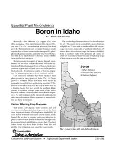 Essential Plant Micronutrients  Boron in Idaho R. L. Mahler, Soil Scientist  Boron (B)—like chlorine (Cl), copper (Cu), iron