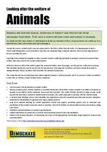 Animal cruelty / Royal Society for the Prevention of Cruelty to Animals / Cruelty to animals / Humane society / Society for the Prevention of Cruelty to Animals / Animal testing / Factory farming / Animal treatment in rodeo / Universal Declaration on Animal Welfare / Animal rights / Animal welfare / Zoology