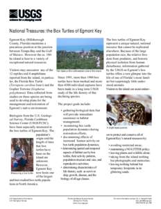 National Treasures: the Box Turtles of Egmont Key Egmont Key (Hillsborough County, Florida) maintains a precarious position at the junction between Tampa Bay and the Gulf of Mexico. However the ca. 180ha island is host t