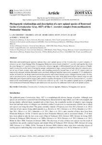 Phylogenetic relationships and description of a new upland species of Bent-toed Gecko (Cyrtodactylus Gray, 1827) of the C. sworderi complex from northeastern Peninsular Malaysia