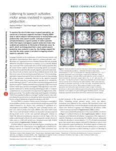 Neuroscience / Brain / Cerebrum / Nervous system / Neuroanatomy / Cognitive neuroscience / Motor system / Primary motor cortex / Brodmann area / Premotor cortex / Motor cortex / Speech perception