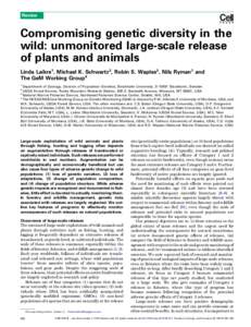 Compromising genetic diversity in the wild: Unmonitored large-scale release of plants and animals