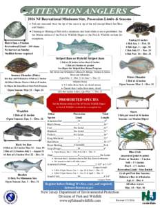 Recreational Minimum Size, Possession Limits & Seasons