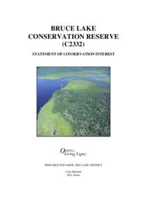 BRUCE LAKE CONSERVATION RESERVE (C2332) STATEMENT OF CONSERVATION INTEREST  PREPARED FOR OMNR, RED LAKE DISTRICT