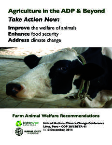 Agriculture in the ADP & Beyond Take Action Now: Improve the welfare of animals Enhance food security Address climate change