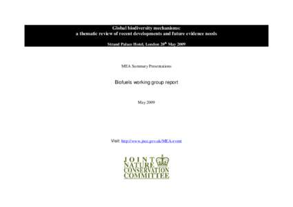 Biofuels working group report - summary presentation