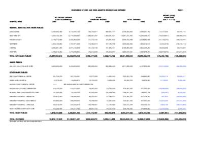 COMPARISON OF 2001 AND 2000 ADJUSTED REVENUES AND EXPENSES  HOSPITAL NAME NET PATIENT REVENUE (LESS ALLOWANCES)
