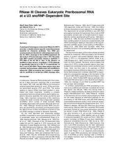 Cell, Vol. 85, 115–124, April 5, 1996, Copyright 1996 by Cell Press  RNase III Cleaves Eukaryotic Preribosomal RNA at a U3 snoRNP-Dependent Site Sherif Abou Elela, Haller Igel, and Manuel Ares, Jr.