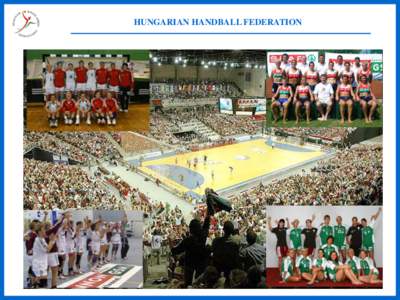 European Handball Federation / Royal Spanish Handball Federation / Sports / Hungarian Handball Federation / Team handball