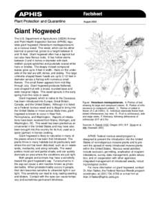 Biology / Heracleum / Agriculture / Botany / Noxious weed / Noxious / Photodermatitis / Federal Noxious Weed Act / Apiaceae / Invasive plant species / Heracleum mantegazzianum