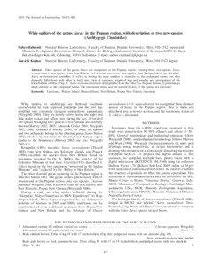 2010. The Journal of Arachnology 38:475–484  Whip spiders of the genus Sarax in the Papuan region, with description of two new species