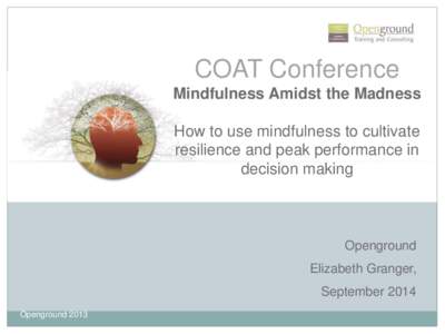 COAT Conference Mindfulness Amidst the Madness How to use mindfulness to cultivate resilience and peak performance in decision making