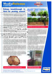 MediaRelease 24 April 2015 Eutypa breakthrough in time for pruning season THIS winter for the first time, winegrape growers can protect