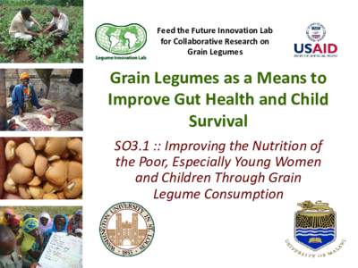 Feed the Future Innovation Lab for Collaborative Research on Grain Legumes Grain Legumes as a Means to Improve Gut Health and Child