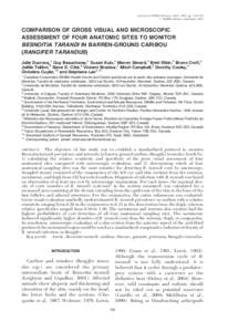 Journal of Wildlife Diseases, 48(3), 2012, pp. 732–738 # Wildlife Disease Association 2012 COMPARISON OF GROSS VISUAL AND MICROSCOPIC ASSESSMENT OF FOUR ANATOMIC SITES TO MONITOR BESNOITIA TARANDI IN BARREN-GROUND CARI