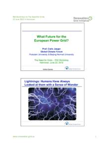123/45#%/97$/:$$-/;5#/2#,-)/ <</=.%$/<>0</,%/?&%%5@$#/ What Future for the European Power Grid? Prof. Carlo Jaeger