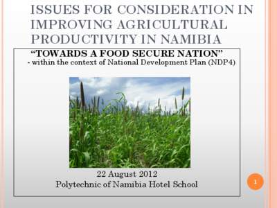 ISSUES FOR CONSIDERATION IN IMPROVING AGRICULTURAL PRODUCTIVITY IN NAMIBIA “TOWARDS A FOOD SECURE NATION”  - within the context of National Development Plan (NDP4)