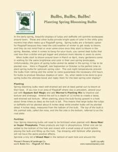 Bulbs, Bulbs, Bulbs! Planting Spring Blooming Bulbs In the early spring, beautiful displays of tulips and daffodils will sprinkle landscapes around town. These and other bulbs provide bright spots of color in the chilly 
