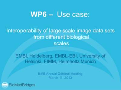 WP6 – Use case: Interoperability of large scale image data sets from different biological scales EMBL Heidelberg, EMBL-EBI, University of Helsinki, FIMM, Helmholtz Munich