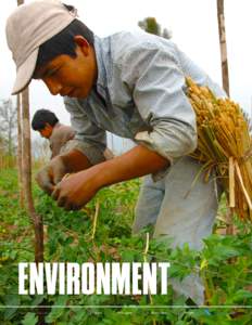 ENVIRONMENT 42  World Development Indicators 2014