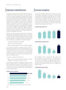 desempeño – balance de sostenibilidad  Indicadores medioambientales Consumos energéticos