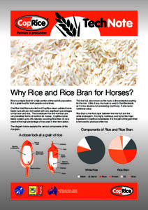 Why Rice and Rice Bran for Horses? Rice is a staple food for a high portion of the world’s population. It is a great food for both people and animals. CopRice NutriRice extruded and CopRice steam pelleted horse feeds h