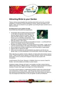 Attracting Birds to your Garden There’s nothing more enjoyable than watching native birds such as tiny, acrobatic spinebills or a small flock of parrots feasting on nectar, insects and seeds in your garden. Birds can b