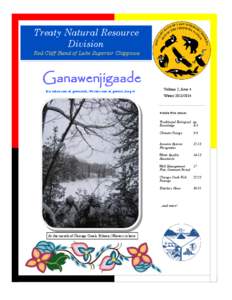 Treaty Natural Resource Division Red Cliff Band of Lake Superior Chippewa Ganawenjigaade It is taken care of, protected...We take care of, protect, keep it