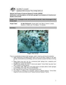 Marine and Tropical Sciences Research Facility (MTSRF) Distribution and abundance of the bath sponge Coscinoderma in Central and Eastern Torres Strait ProjectEcological role and potential economic value of spong