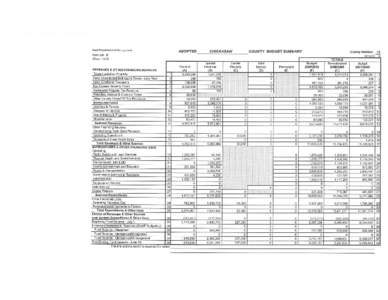 Chickasaw County Budget 09.pdf