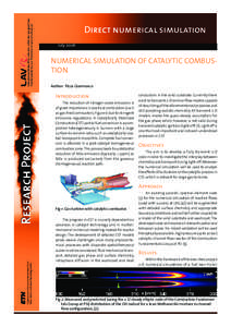 Direct numerical simulation July 2006 NUMERICAL SIMULATION OF CATALYTIC COMBUSTION Author: Pizza Gianmarco