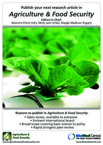 Security / Urban agriculture / Magdy / Agriculture / Rice / Environment / Biology / Earth / Food politics / Humanitarian aid / Food security