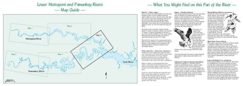 Lower Mattaponi and Pamunkey Rivers — Map Guide — — What You Might Find on this Part of the River —  Map 2