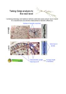 Taking Golgi analysis to the next level Combining stereology and traditional methods yields total values and per neuron results for comprehensive and sensitive measurement of dendritic differences. Number of dendritic br