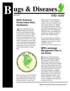 Phyla / Protostome / Mountain pine beetle / Forest / Lodgepole Pine / Beetle / Spruce Budworm / Curculionidae / Woodboring beetles / Systems ecology