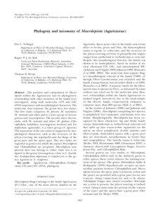 Mycologia, 95(3), 2003, pp. 442–456. ᭧ 2003 by The Mycological Society of America, Lawrence, KS[removed]