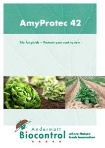 AmyProtec 42 Bio fungicide – Protects your root system where Nature leads Innovation